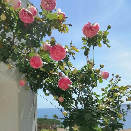 La Mereveil